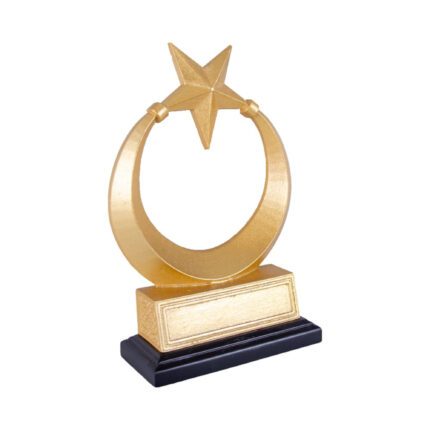 Özel Tasarım Plaket 8