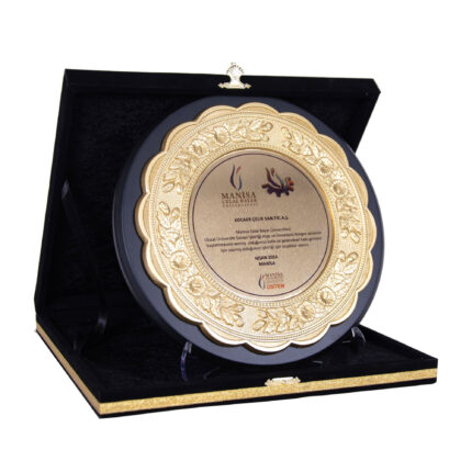 Elit Plaket 10