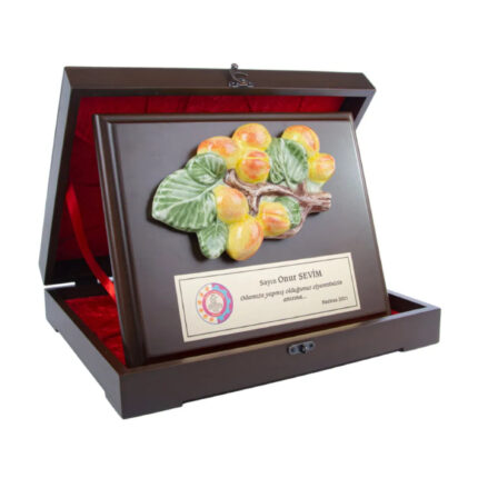 Özel Tasarım Plaket 4
