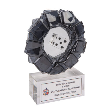 Özel Tasarım Plaket 2
