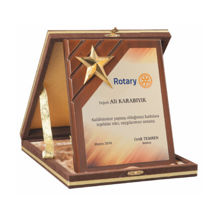 Elit Plaket 3